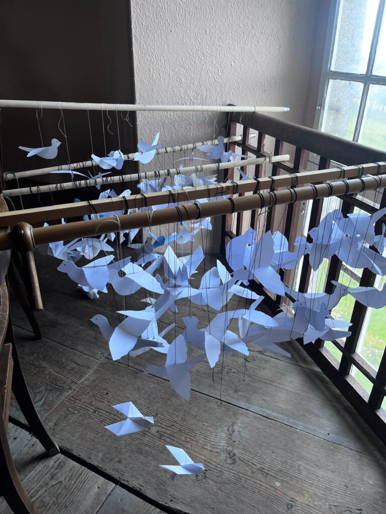 More doves waiting